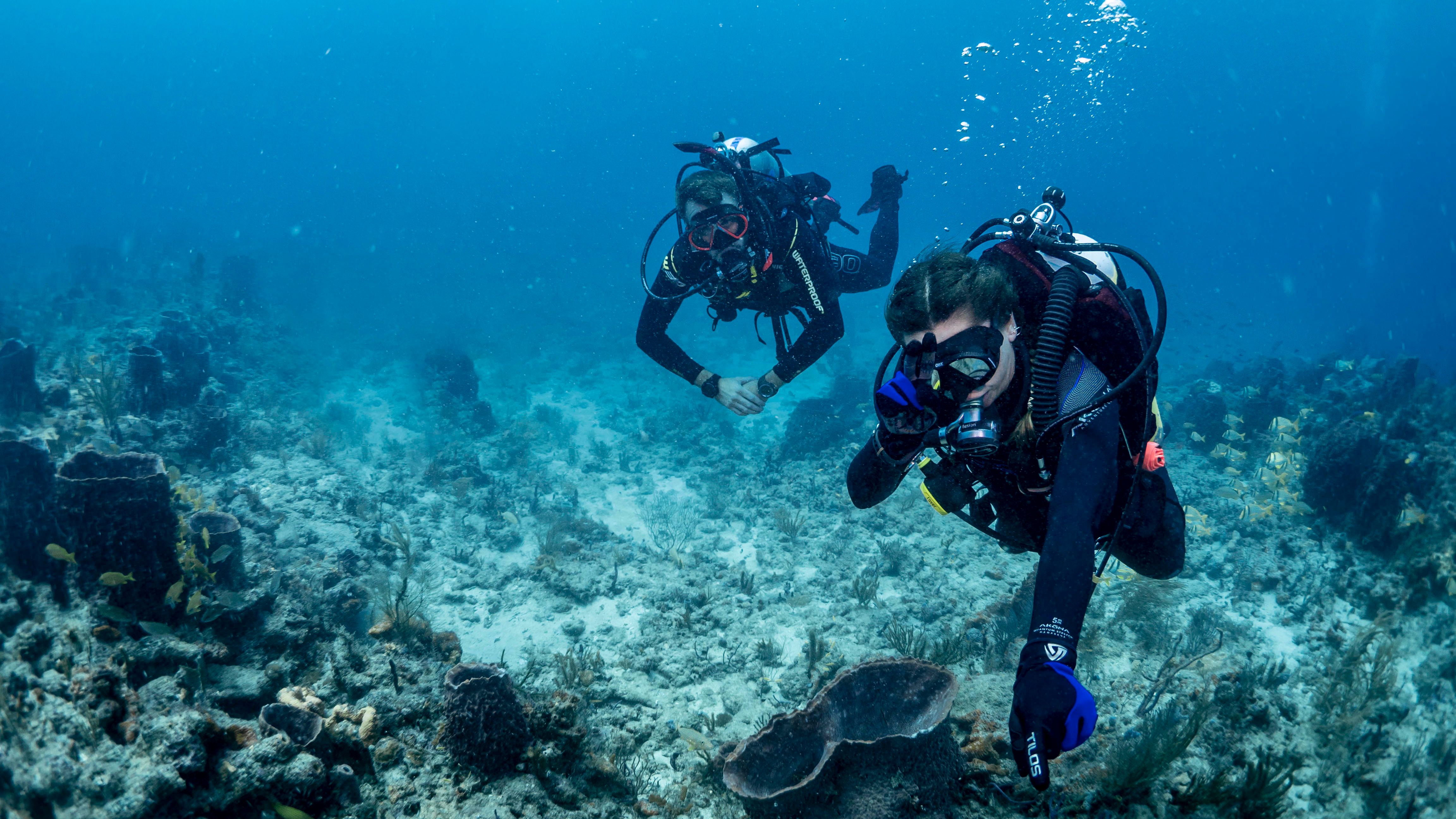 Pensacola Scuba Training & Gear MBT Divers